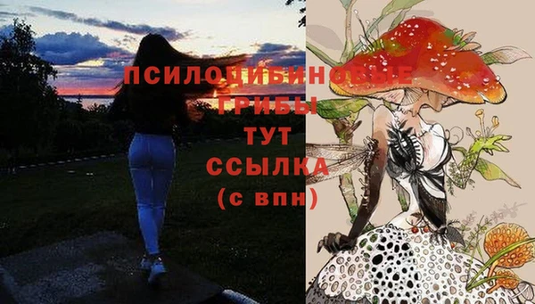 дурь Алексеевка