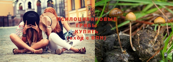 Альфа ПВП Алексин
