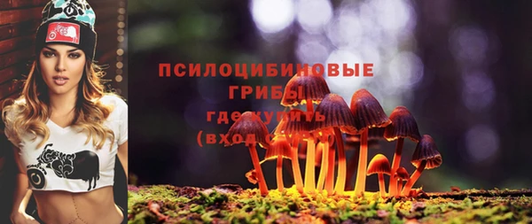 стаф Алзамай
