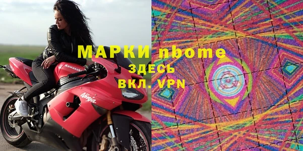 стаф Алзамай