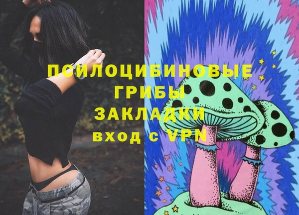 стаф Алзамай