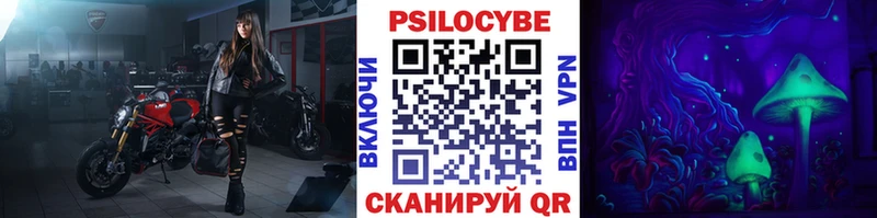 сайты даркнета телеграм  Ишим  Псилоцибиновые грибы Psilocybine cubensis  продажа наркотиков 